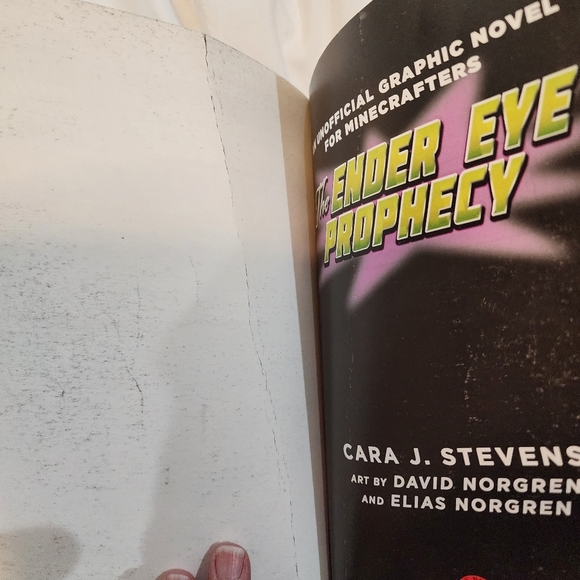 The Ender Eye Prophecy Minecraft book - Picture 5 of 8